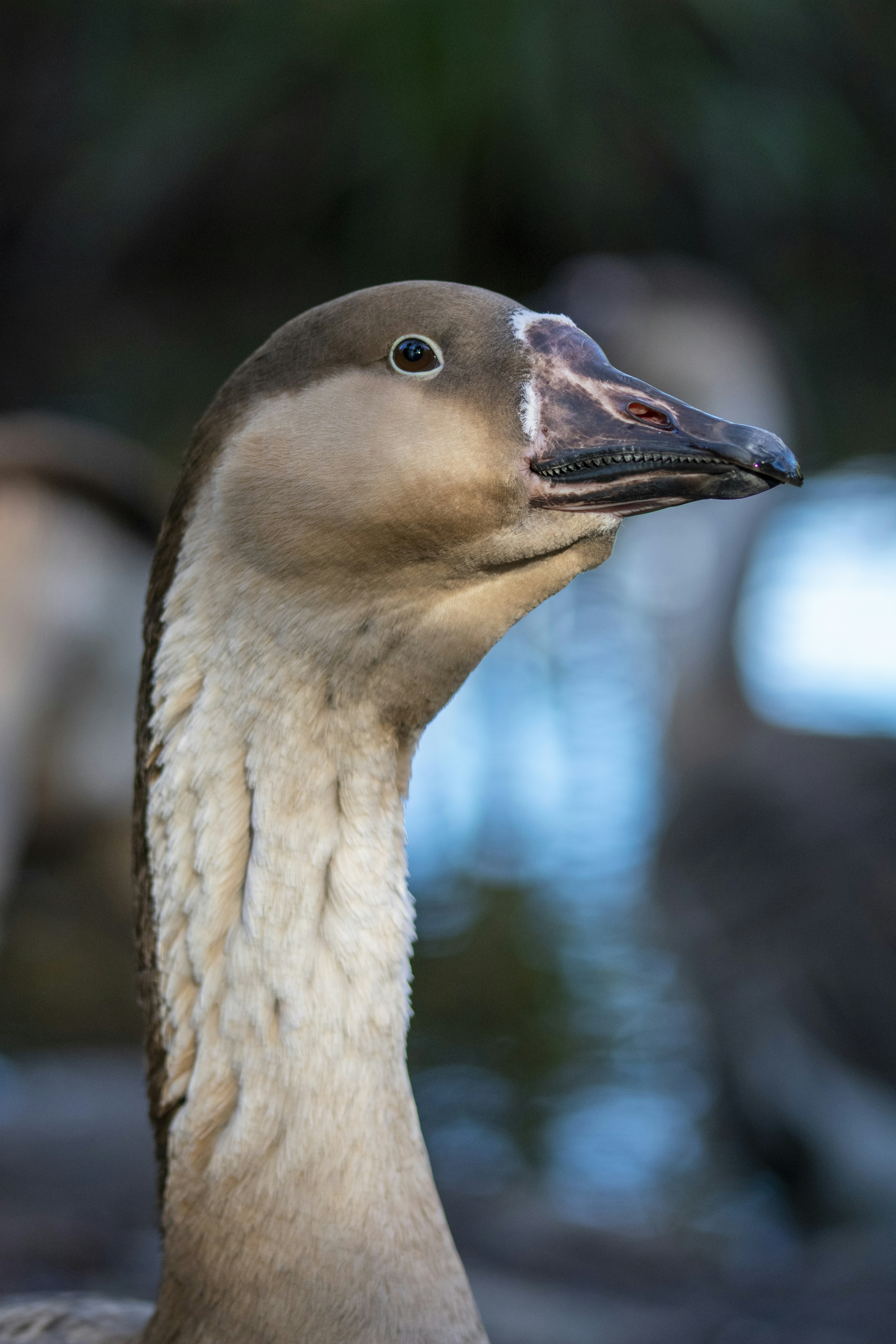 Photo by ellephant_photography