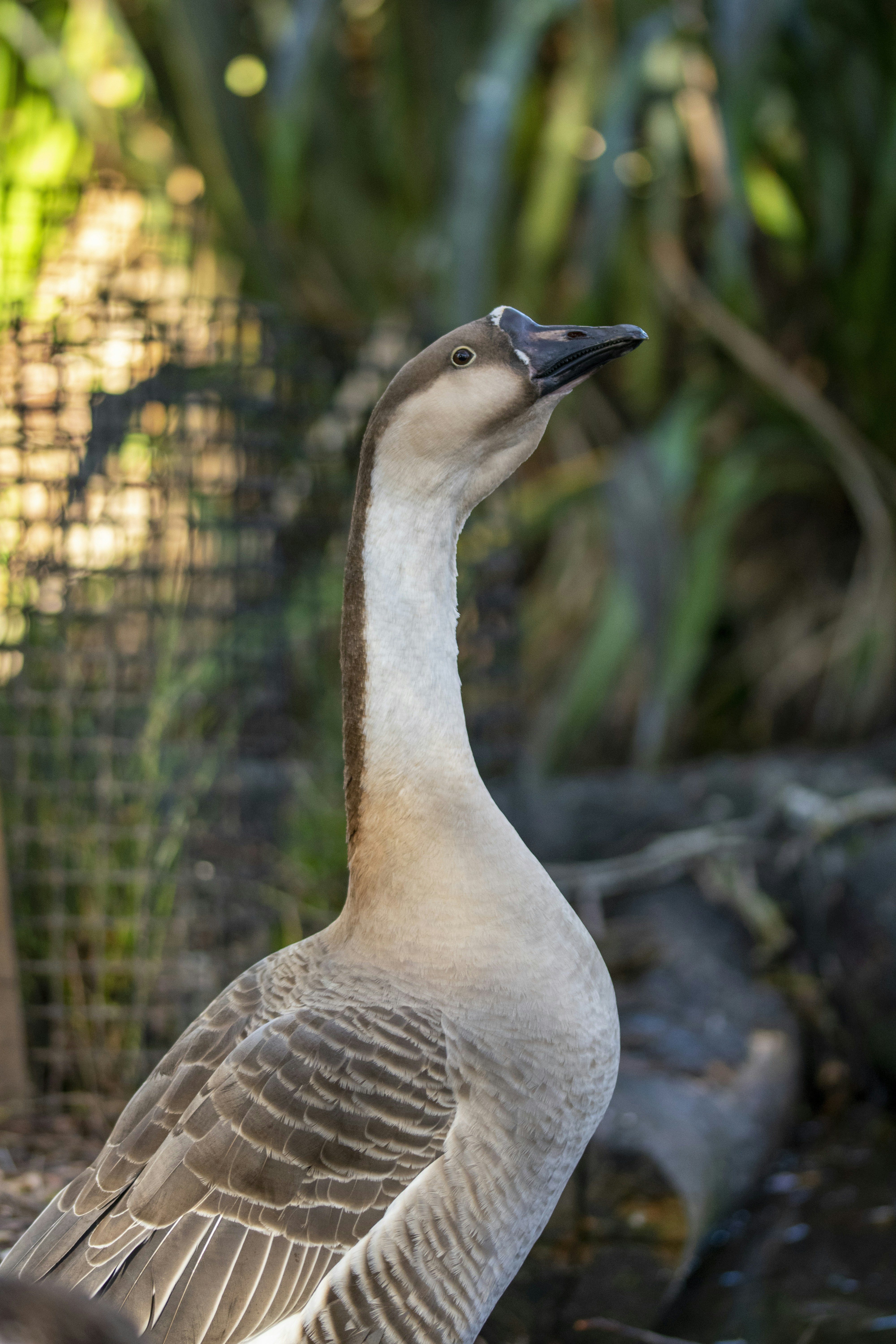 Photo by ellephant_photography