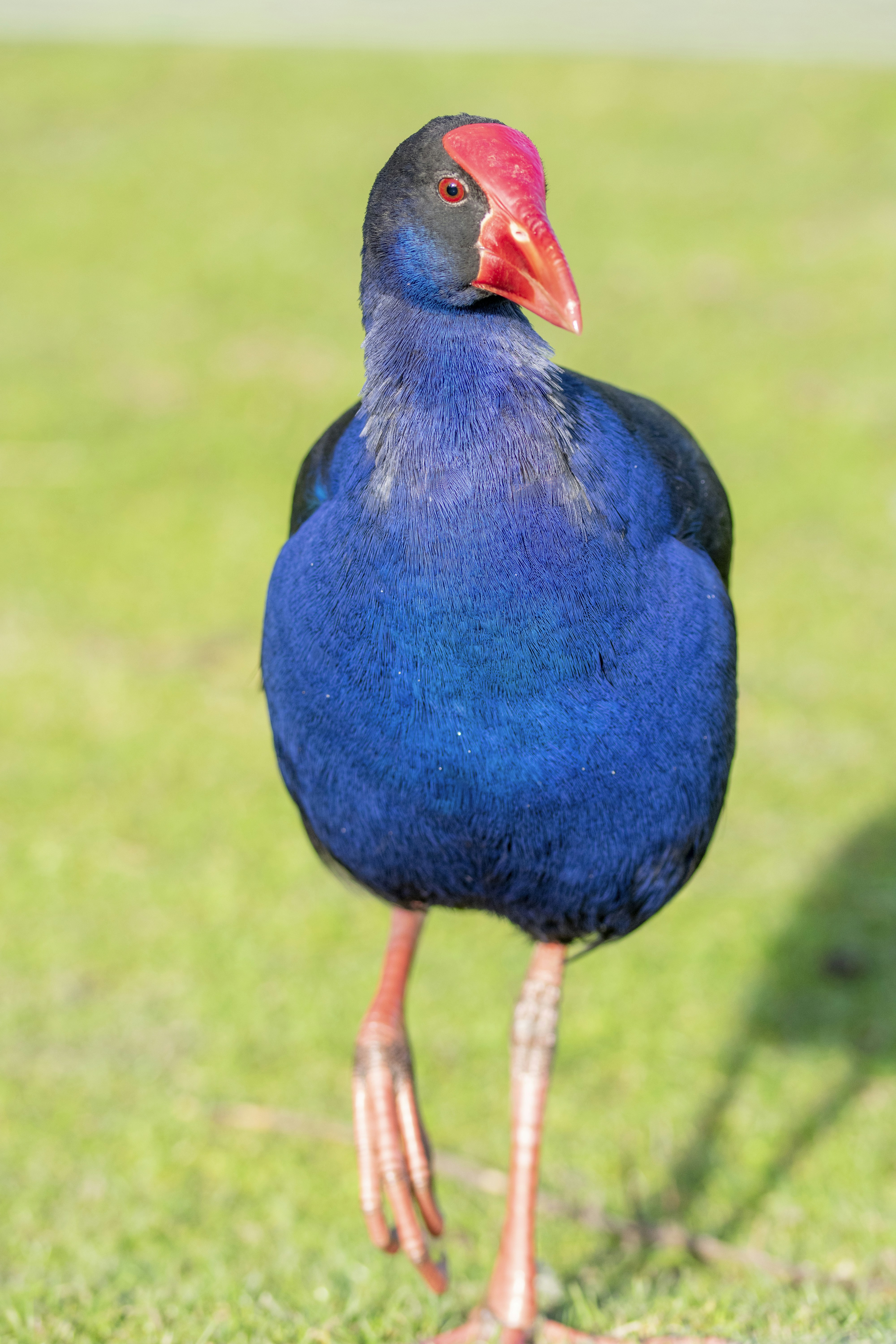 Photo by ellephant_photography