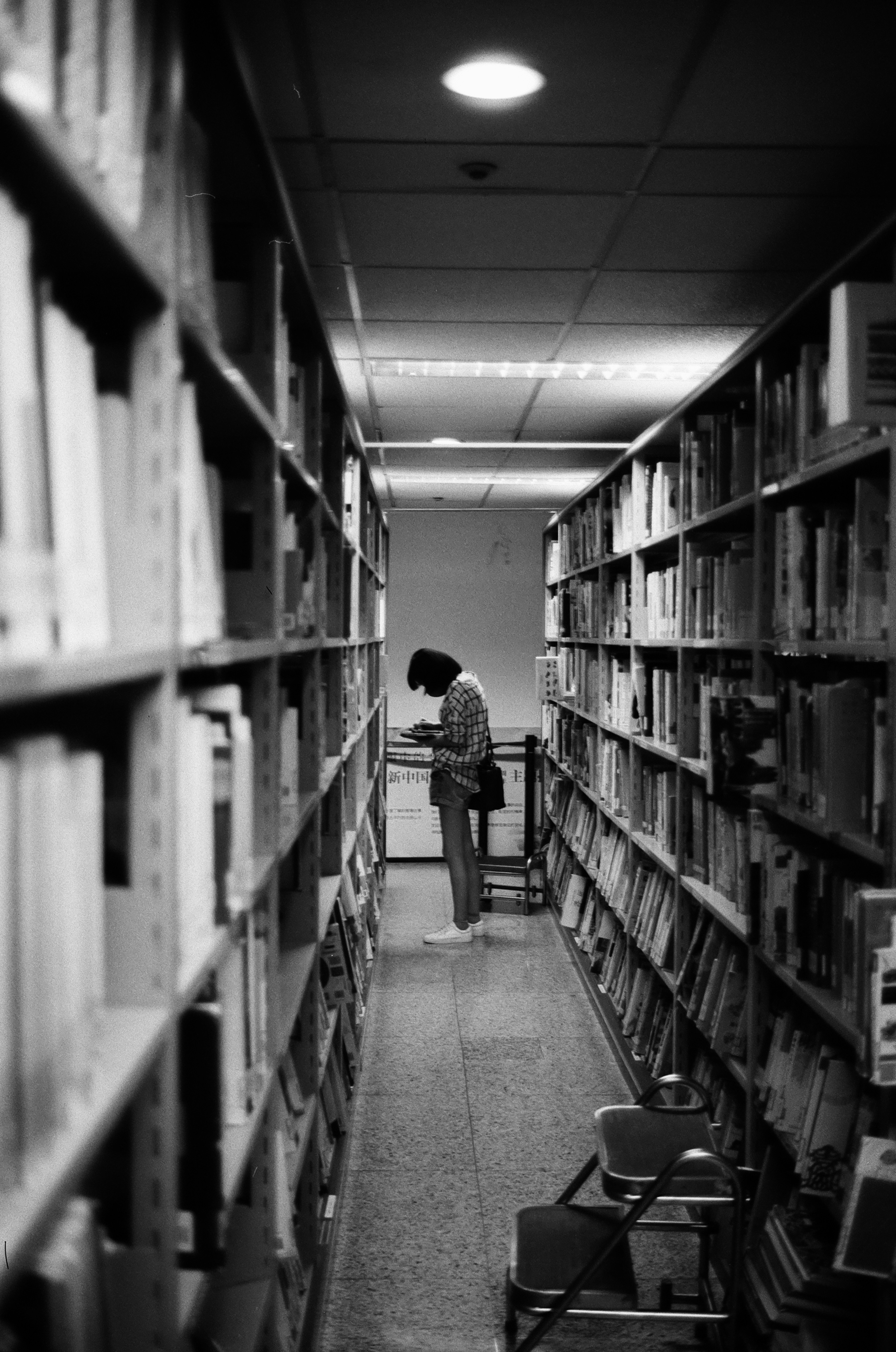 Photo by geraltyichen