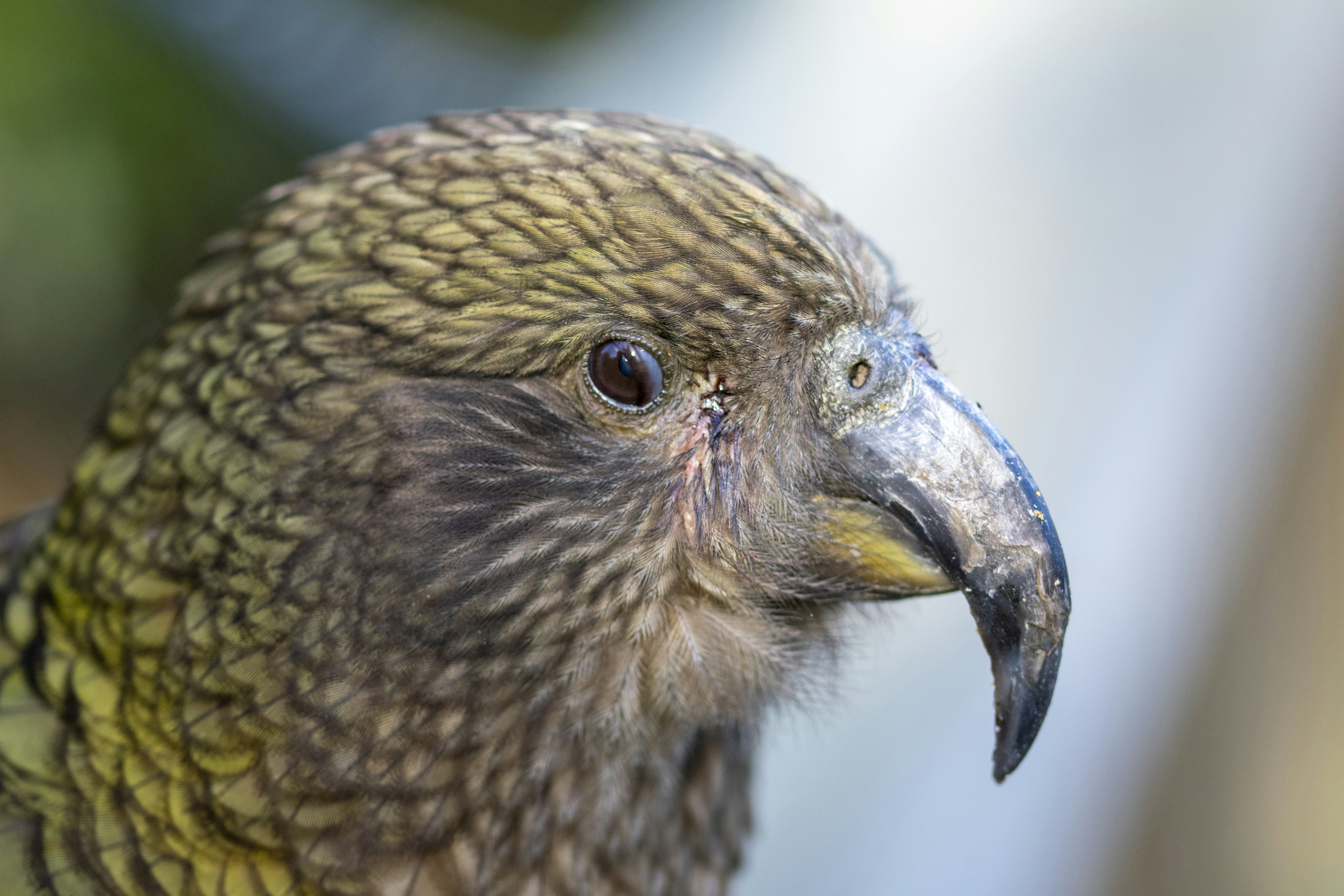 Photo by ellephant_photography