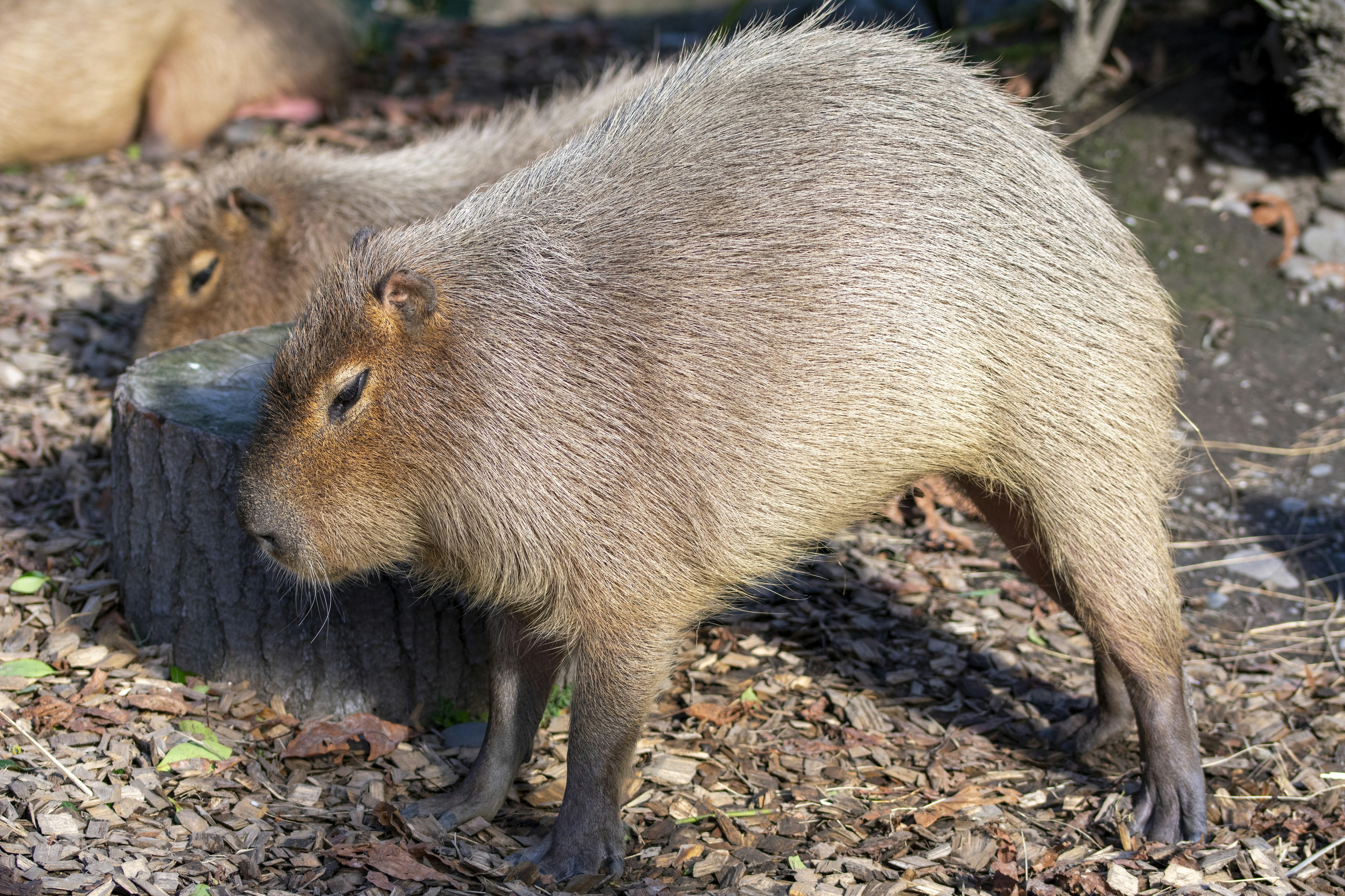 Photo by ellephant_photography