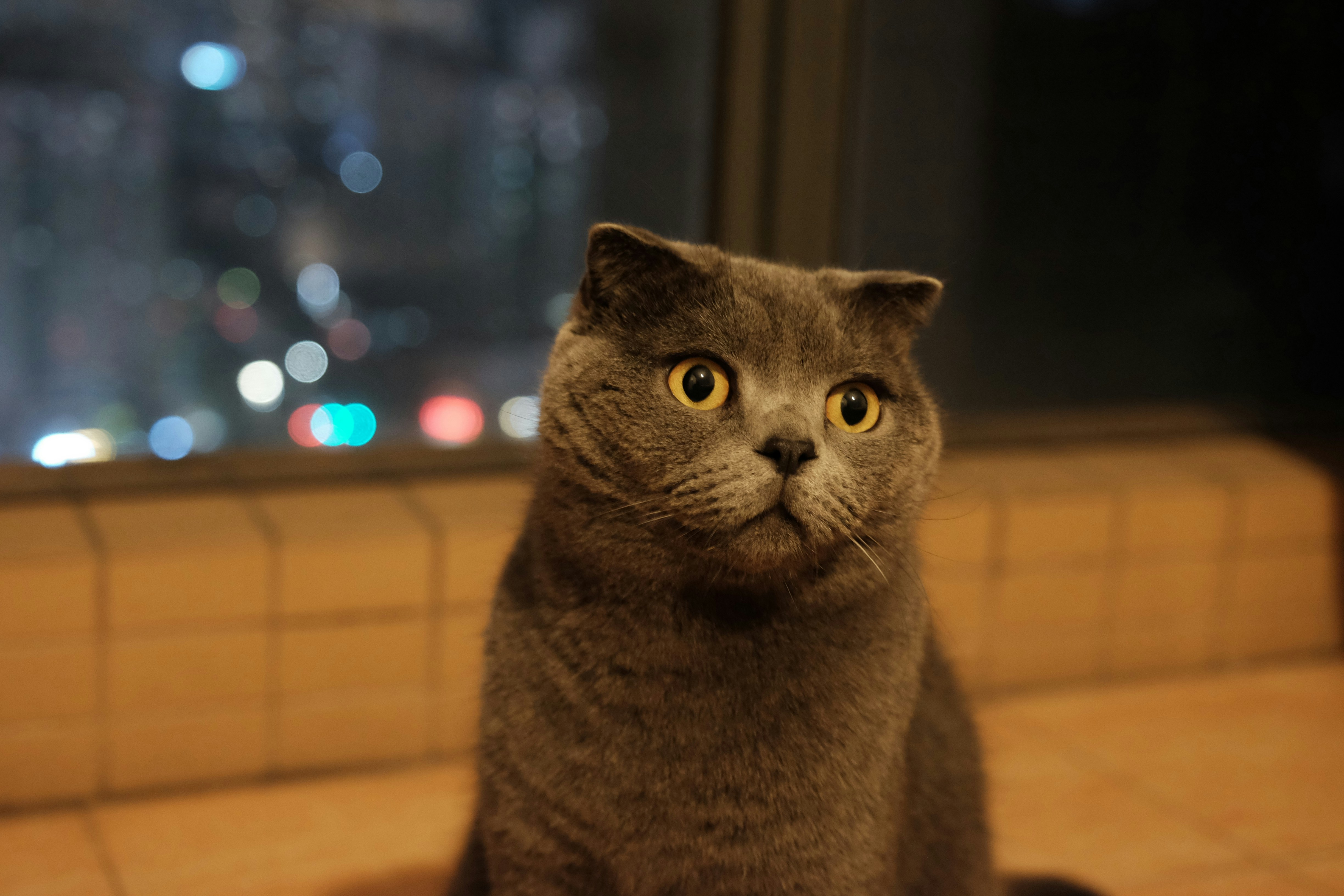 Photo by chelsealagata