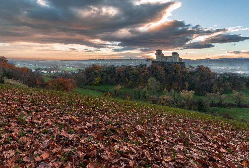 a castle on a hill