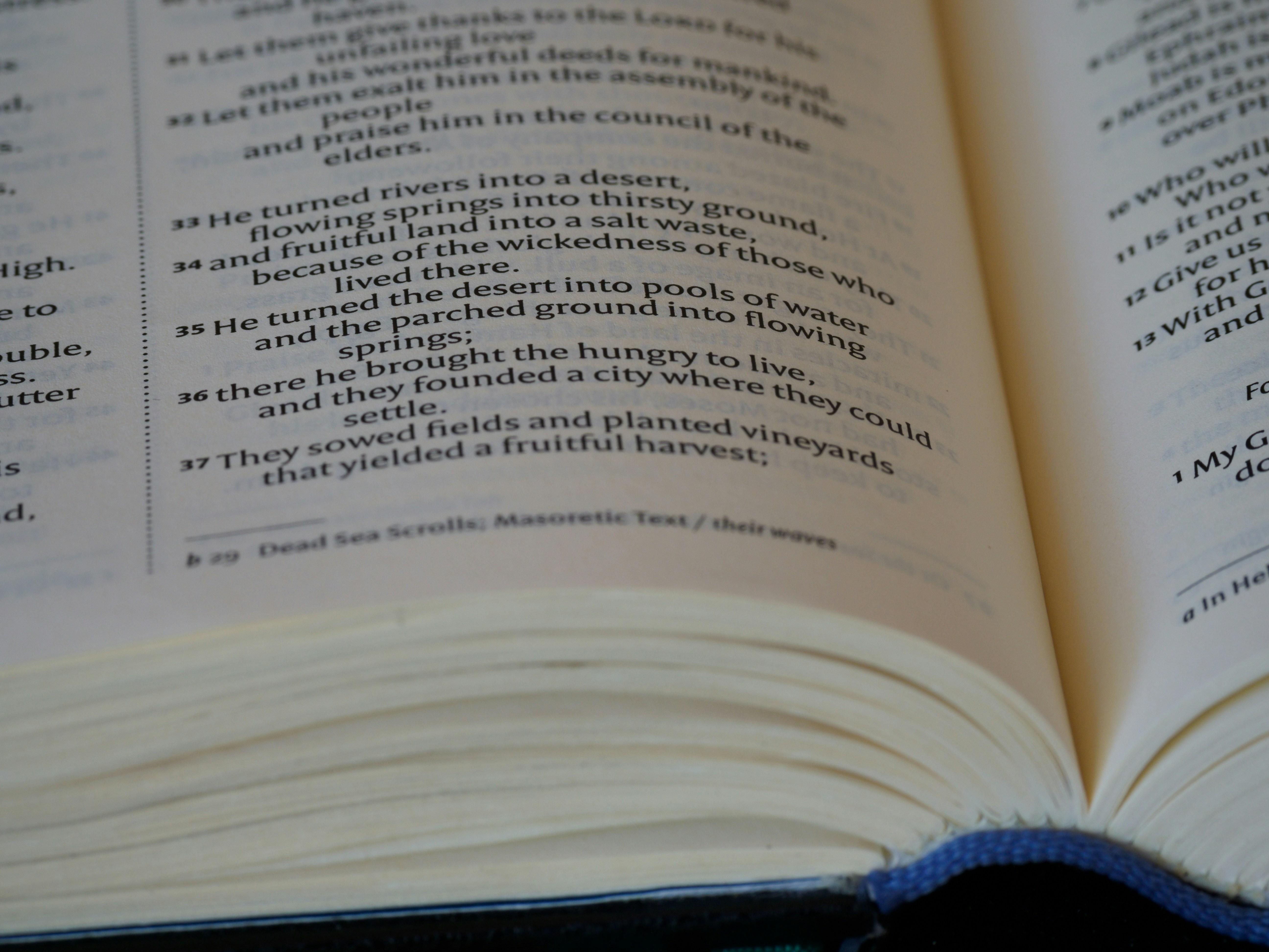 close up, bokeh, macro, blur, blurred background, close focus, bible, old testament, hebrew bible, christian, judaism, history, text, reading, bible study, devotions, text, NIV, New International Version, type, typography, canon, christianity, holy scripture, holy bible, scripture, old testament, hebrew bible, תְּהִלִּים, psalms, psalter, psalm, ketuvim, writings, tanakh, king david, <br>