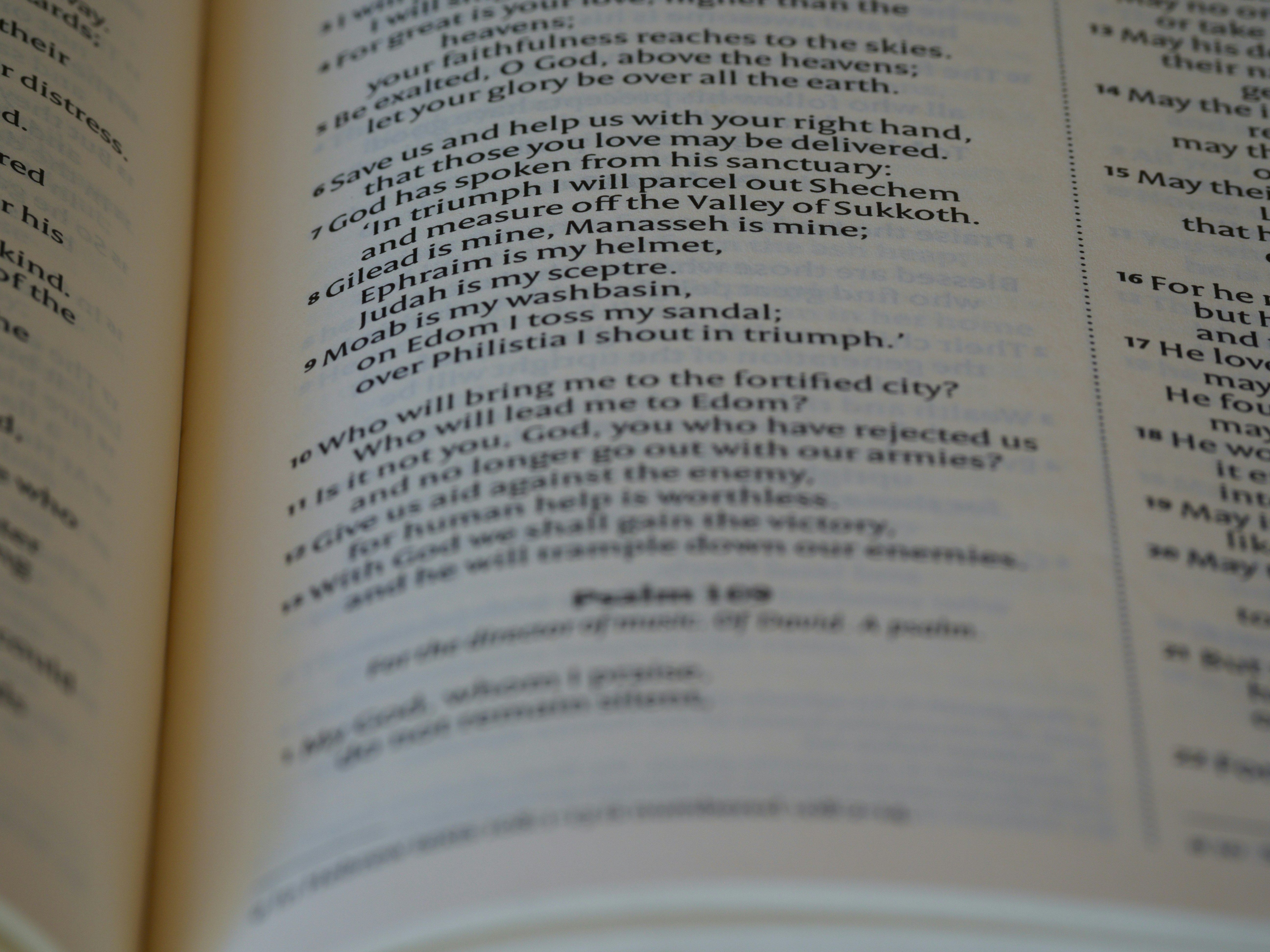 close up, bokeh, macro, blur, blurred background, close focus, bible, old testament, hebrew bible, christian, judaism, history, text, reading, bible study, devotions, text, NIV, New International Version, type, typography, canon, christianity, holy scripture, holy bible, scripture, old testament, hebrew bible, תְּהִלִּים, psalms, psalter, psalm, ketuvim, writings, tanakh, king david, 
