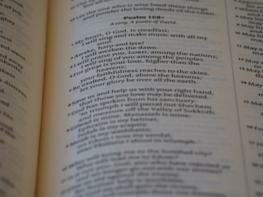 A vibrant close-up of a PsalmXL hat featuring a clear, bold scripture embroidery.