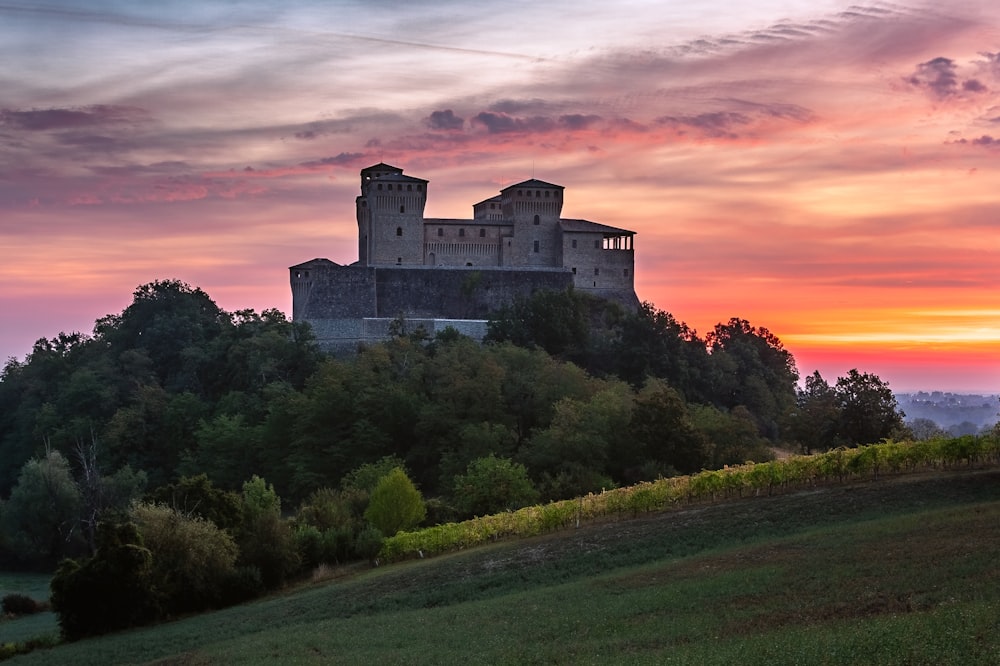 a castle on a hill