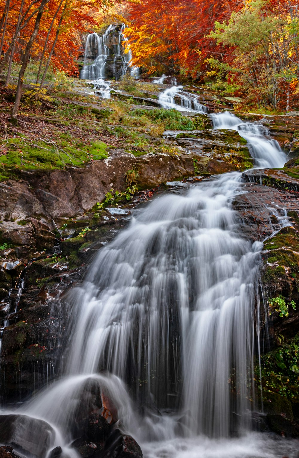 a waterfall with trees around it