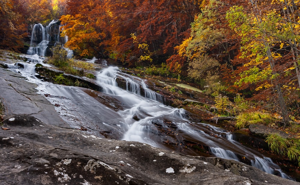 a waterfall with trees around it