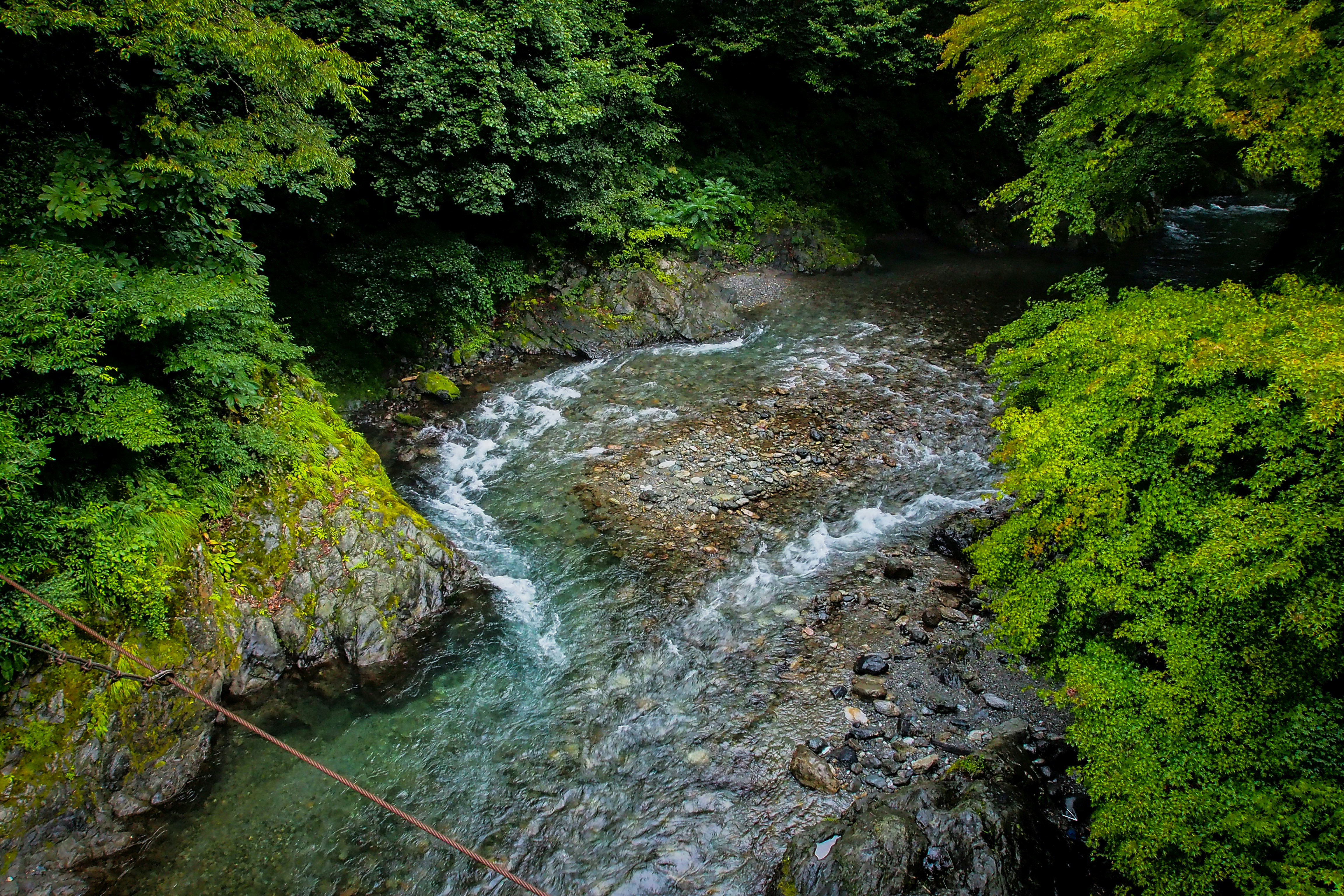 Photo by galihsputro