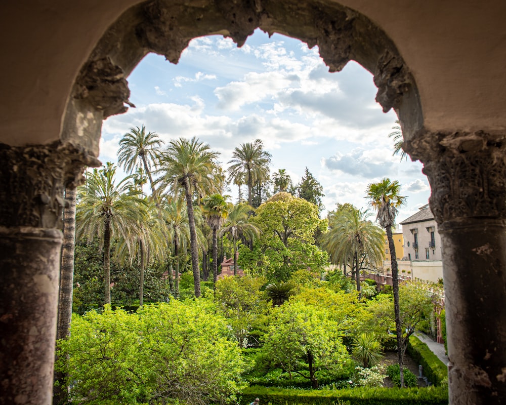 a view through a window of a garden and palm trees