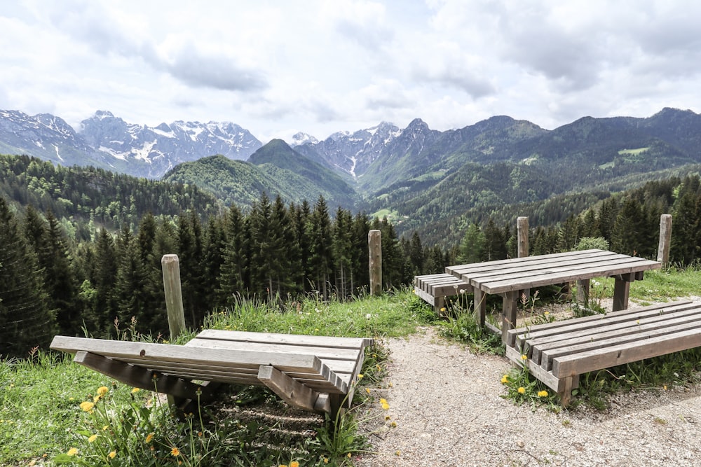 a wooden bench overlooking a forest