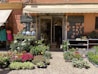 A charming storefront showcases a variety of potted plants and flowers neatly arranged on the cobblestone pavement. Decorative ceramic pieces, including sun and moon shapes, adorn the wall, enhancing the rustic appeal. A colorful dress is displayed to the left under the shade of an awning.