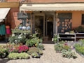A charming storefront showcases a variety of potted plants and flowers neatly arranged on the cobblestone pavement. Decorative ceramic pieces, including sun and moon shapes, adorn the wall, enhancing the rustic appeal. A colorful dress is displayed to the left under the shade of an awning.