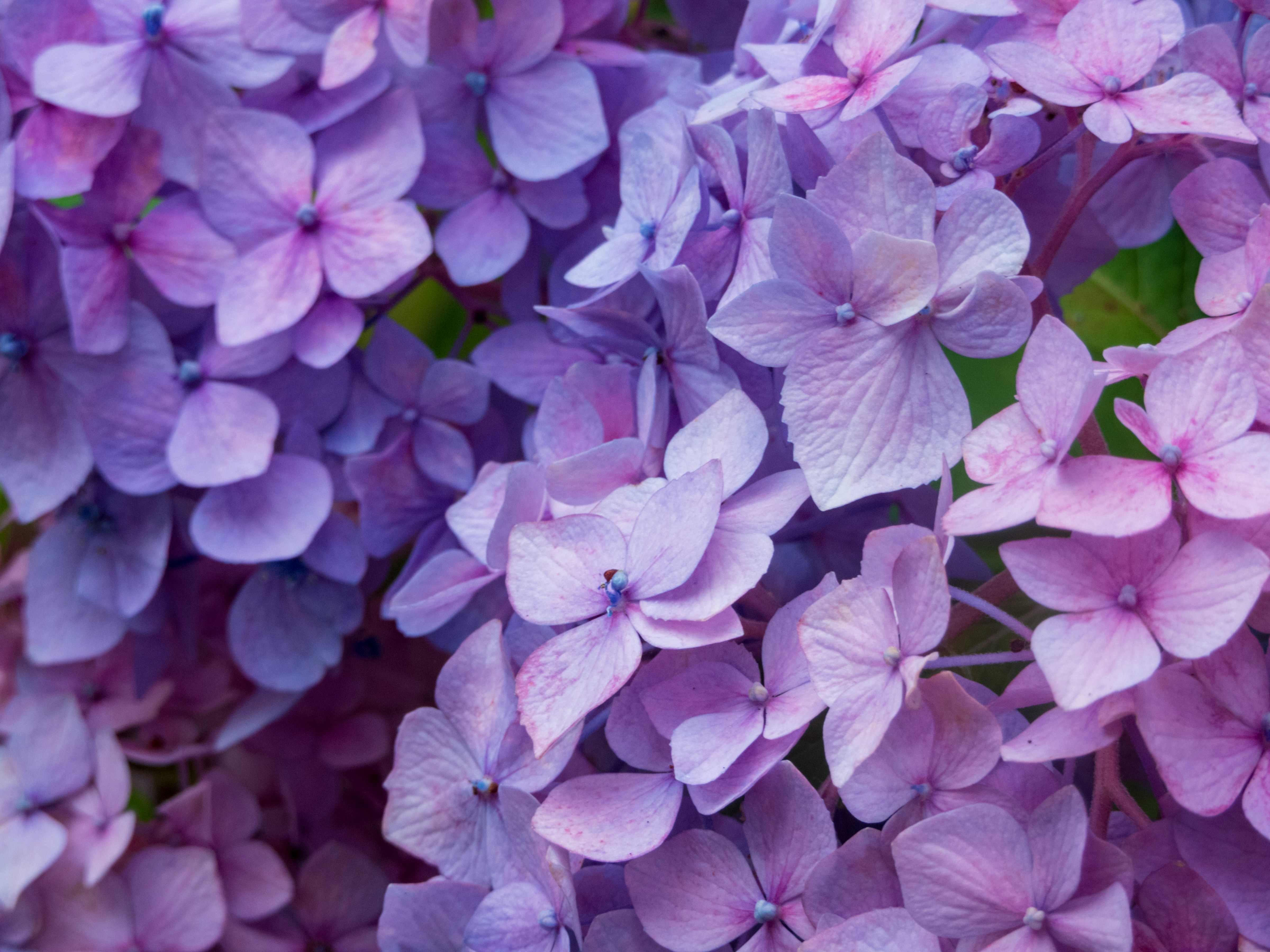 Photo by heppoko_yama