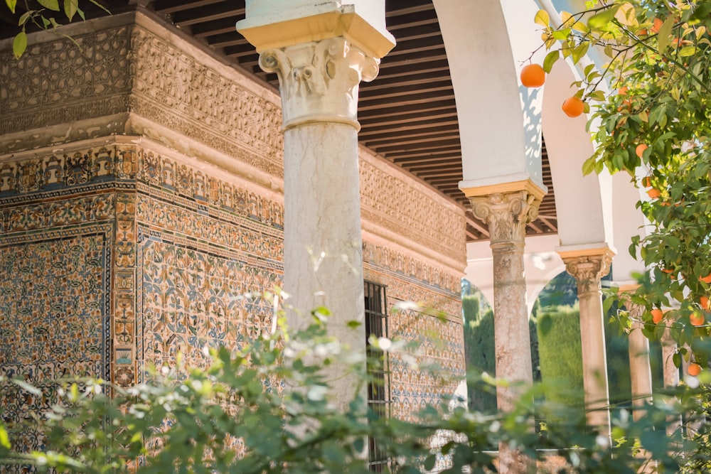 a building with pillars and plants