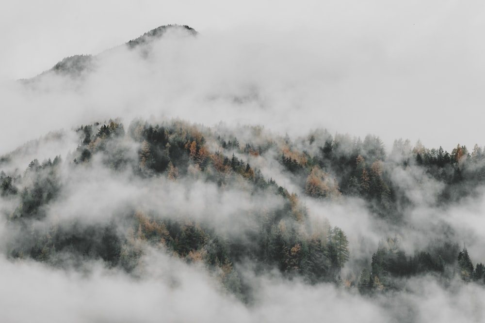 a mountain covered in clouds