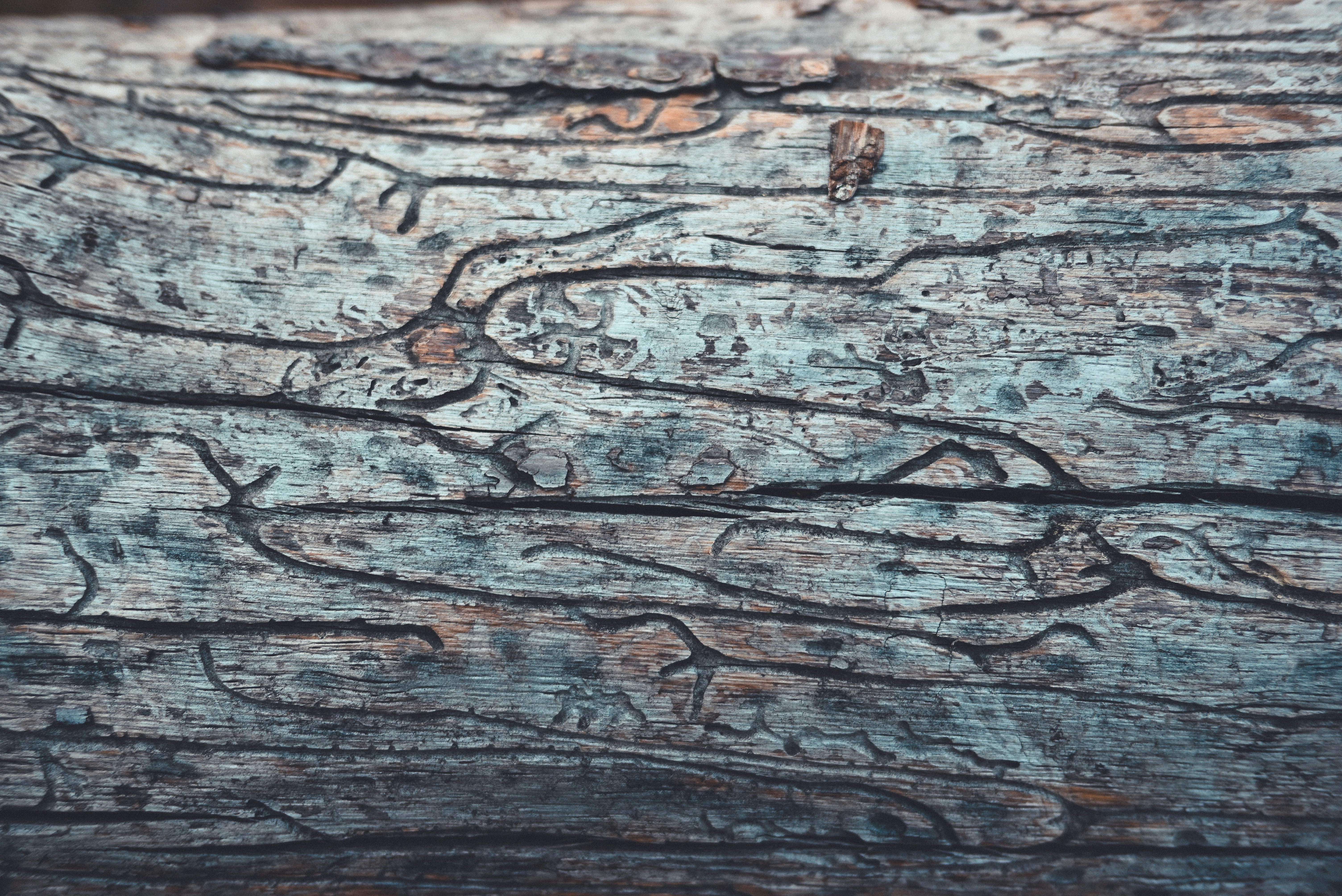 Photo by jetztabertempo