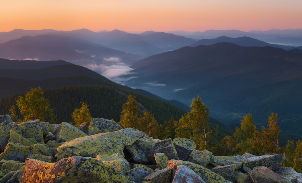 Eine felsige Landschaft mit Bäumen und Bergen im Hintergrund