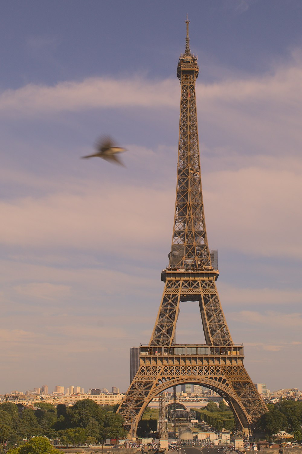 a bird flying in front of the eiffel tower with Eiffel Tower in the background