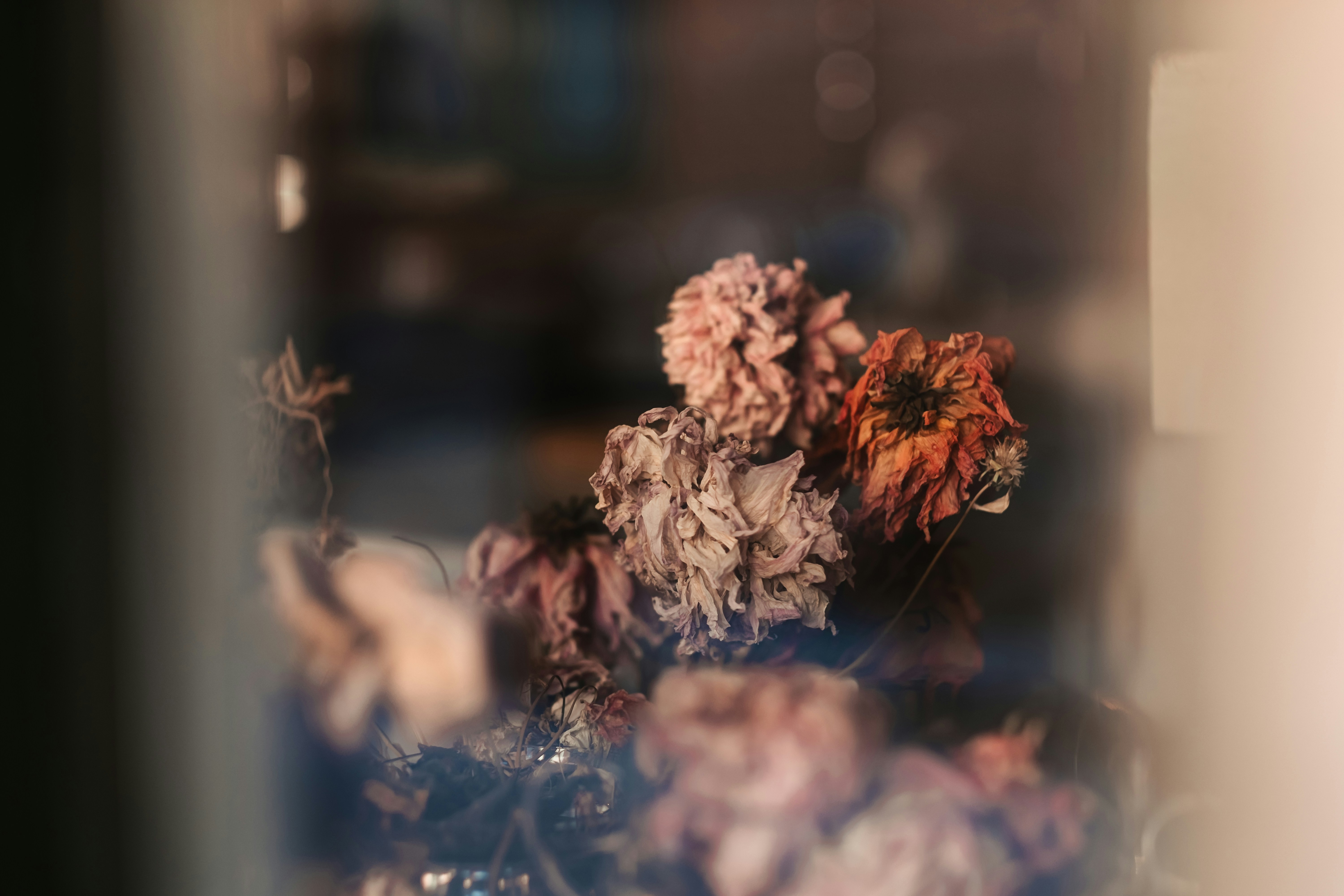 Un primer plano de algunas flores