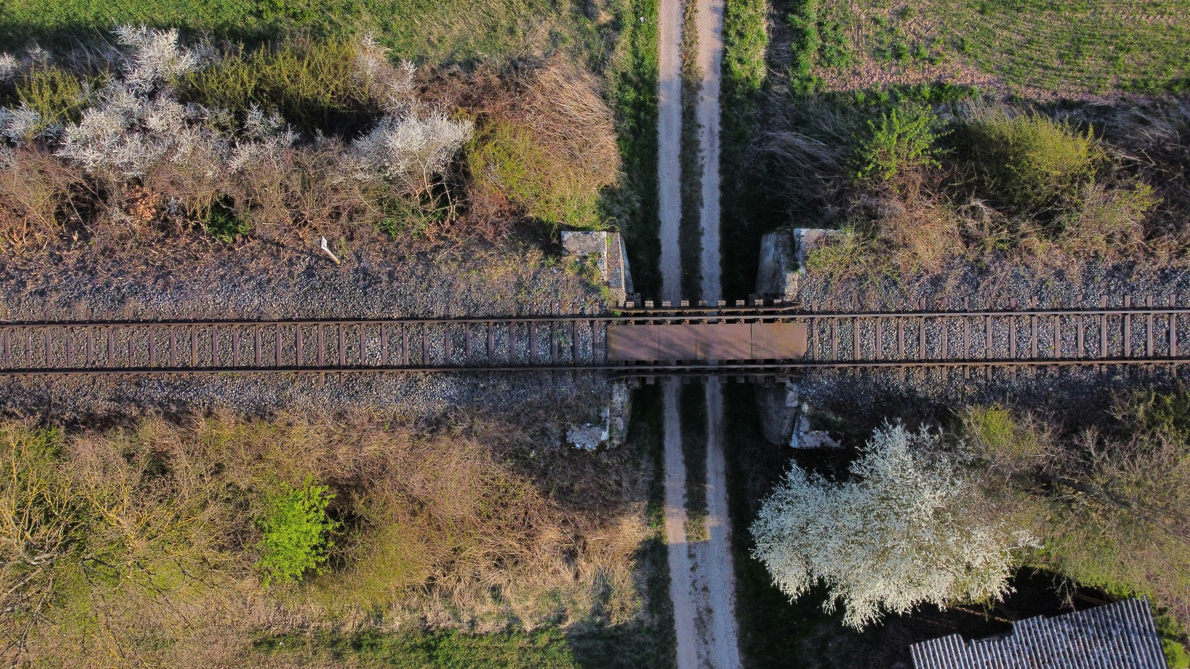 Photo by goosebumpsteam