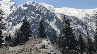 a person standing on a mountain