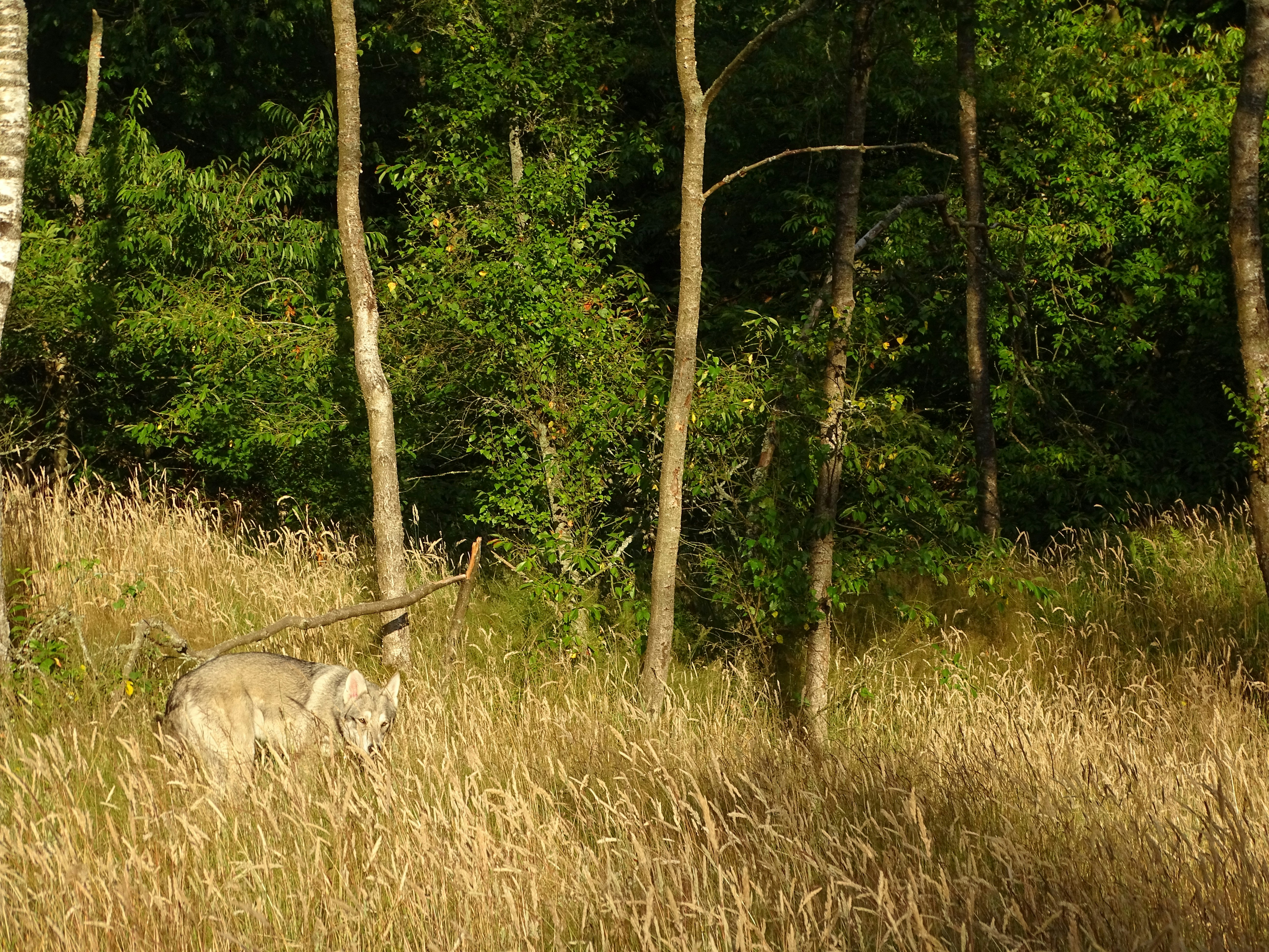 Photo by vinzo88