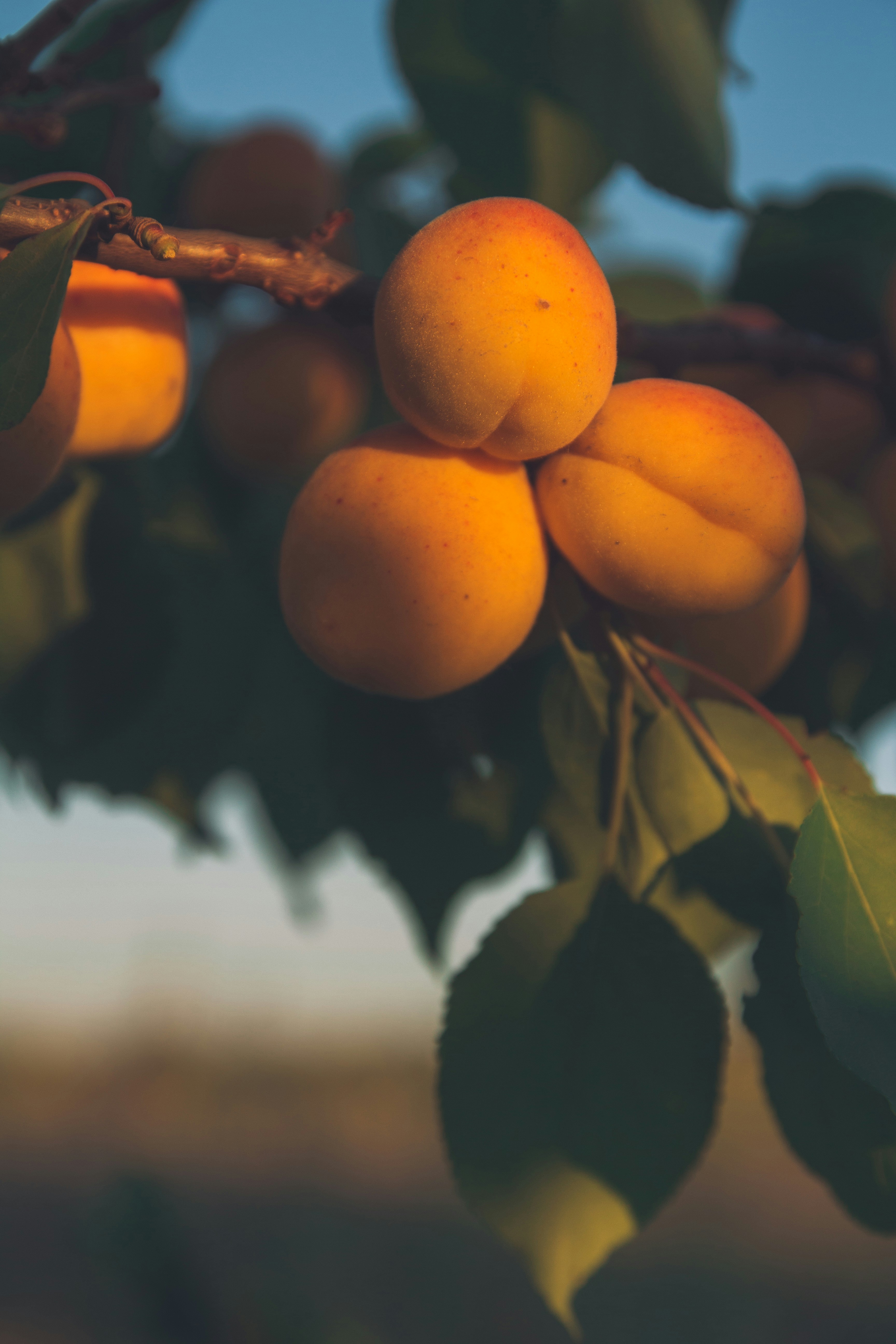 Photo by onmywayhome