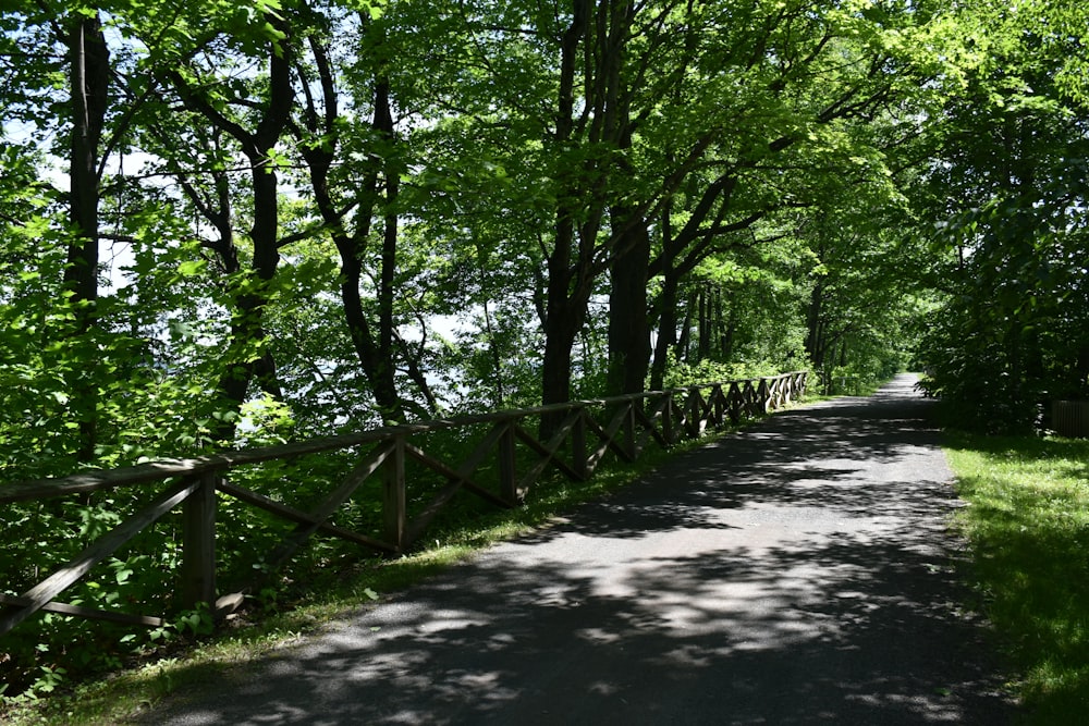 a path through a forest