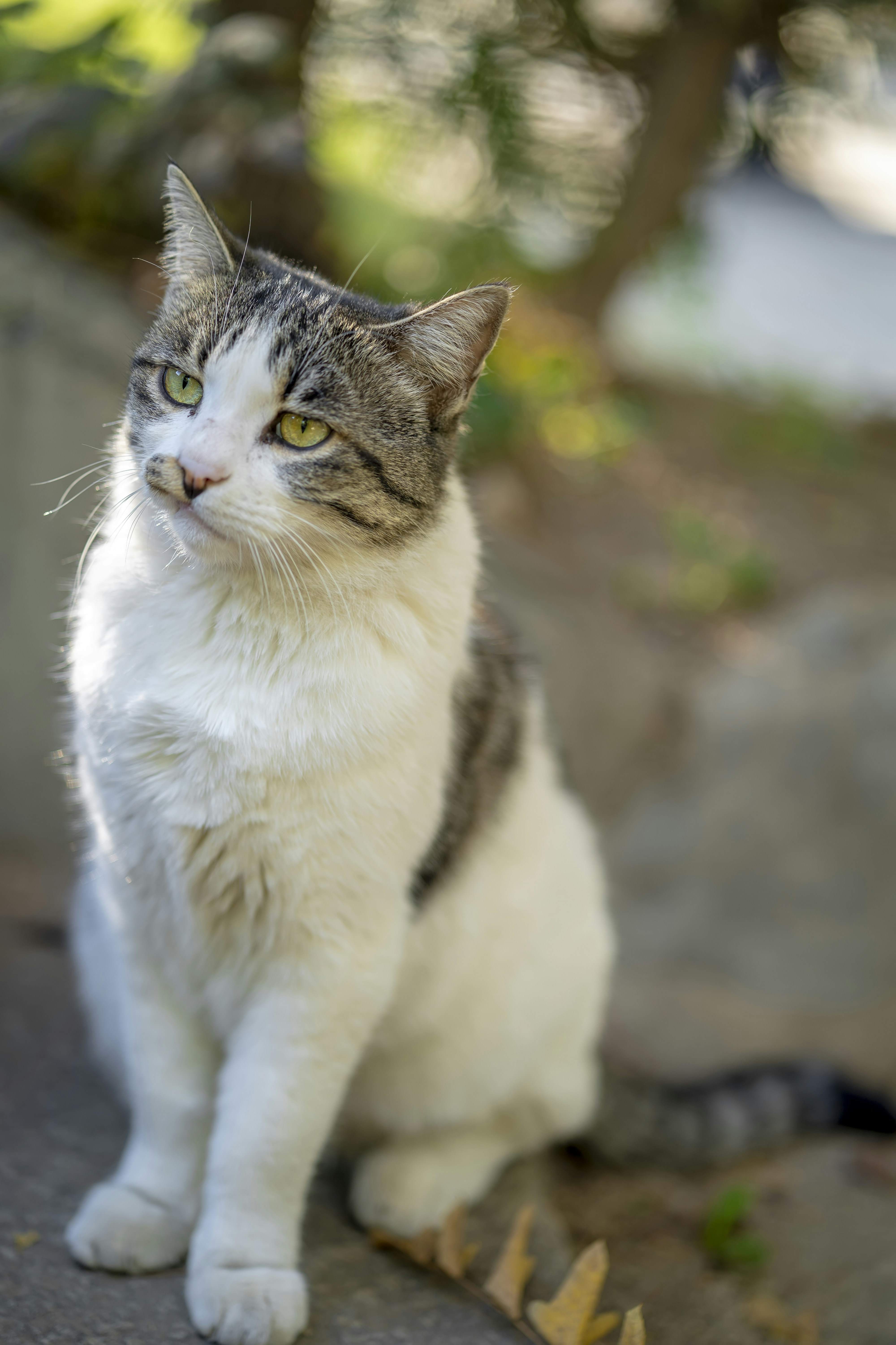 Photo by akbarnemati