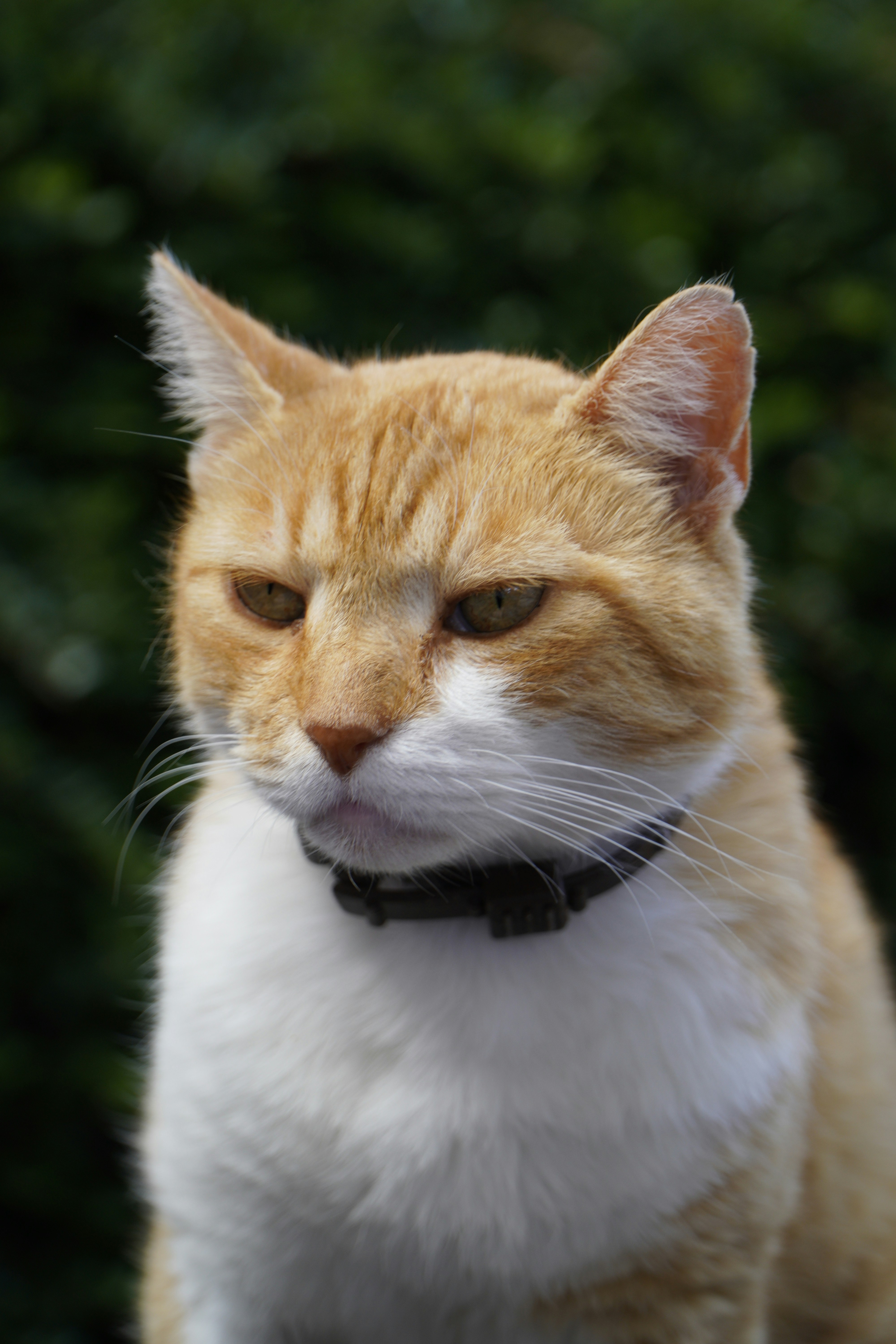 Photo by jeromedufek