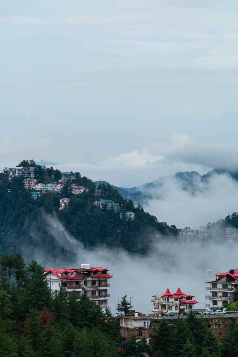 Shimla