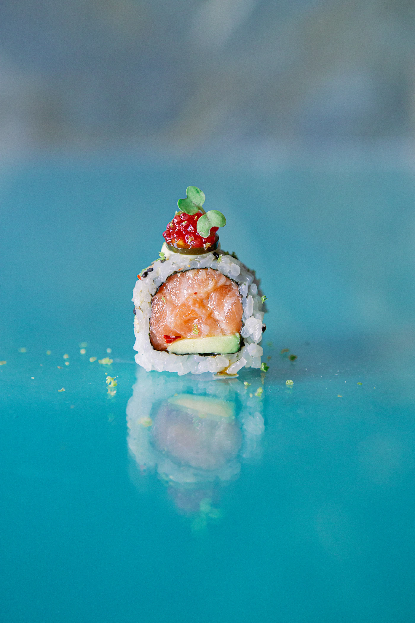 Close-up detail of fresh salmon and avocado sushi