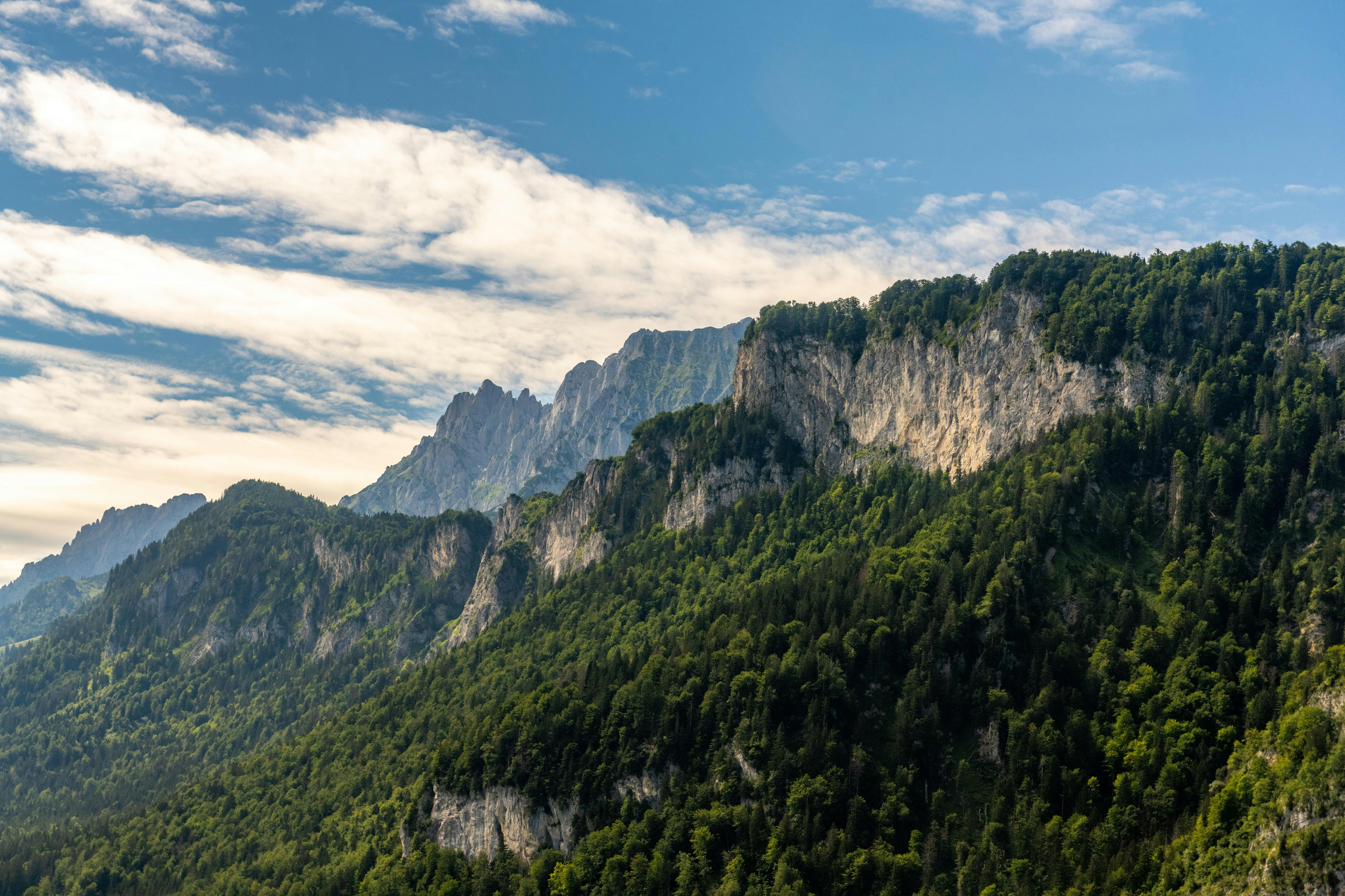 Photo by felixrottmann