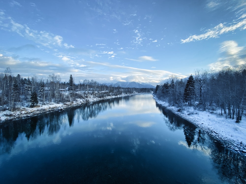 a river with snow and trees