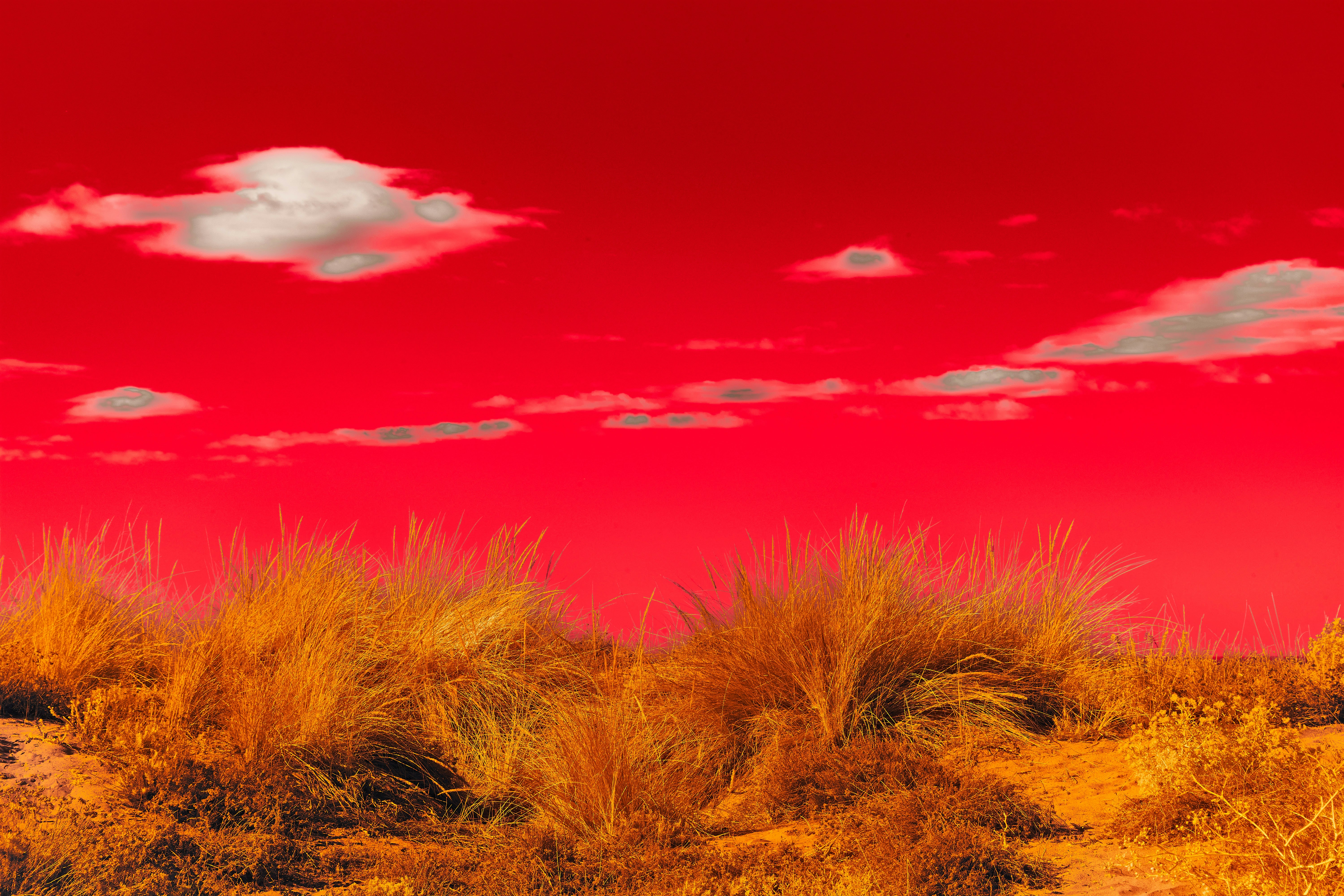 Photo by wolfgang_hasselmann