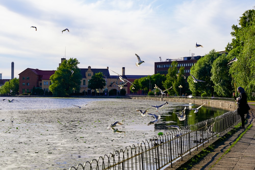 a body of water with birds flying around it