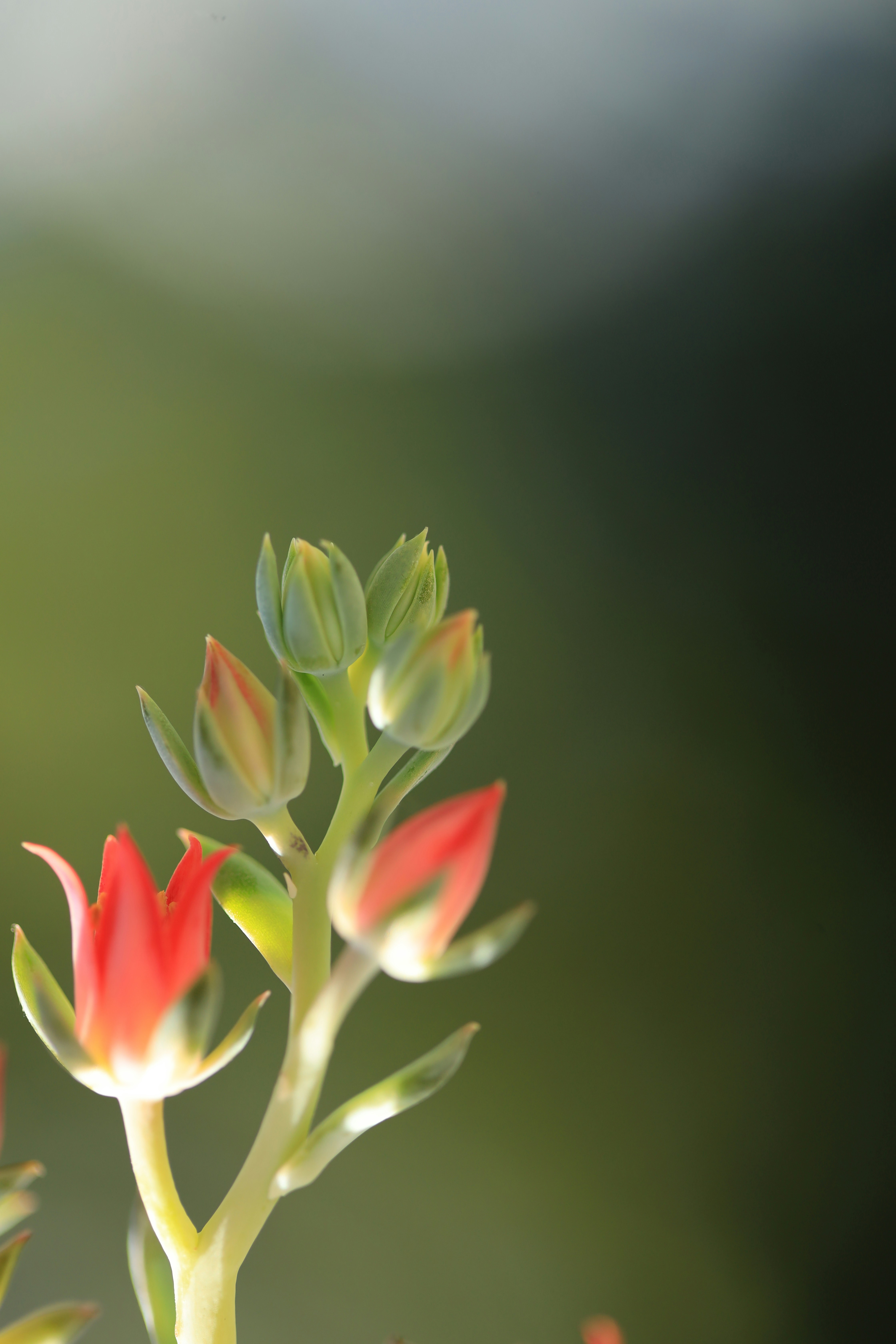 Photo by richardworks