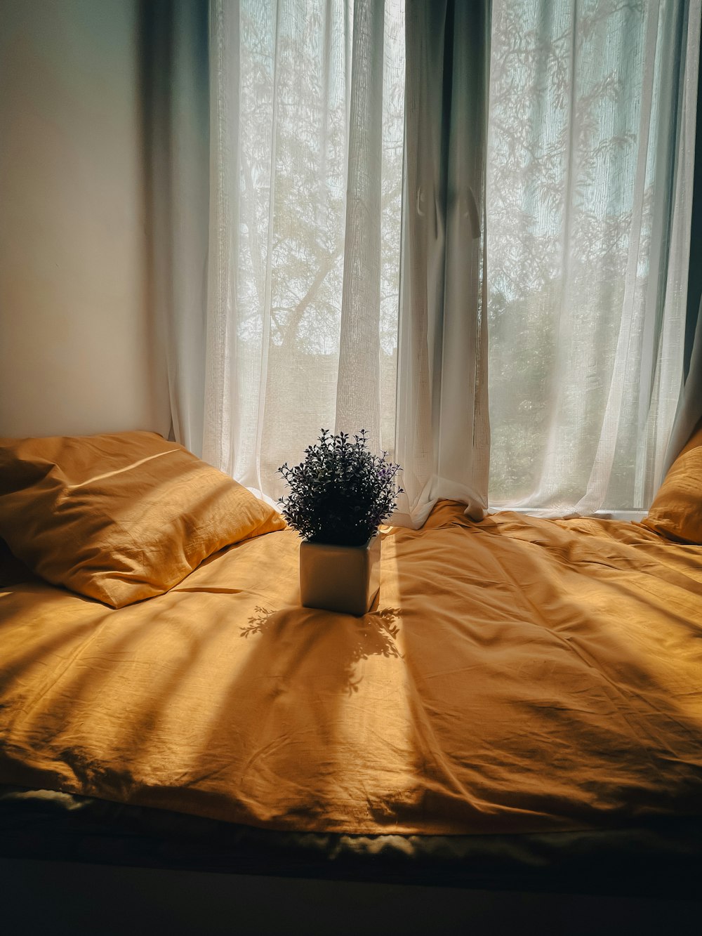 a plant in a pot on a bed