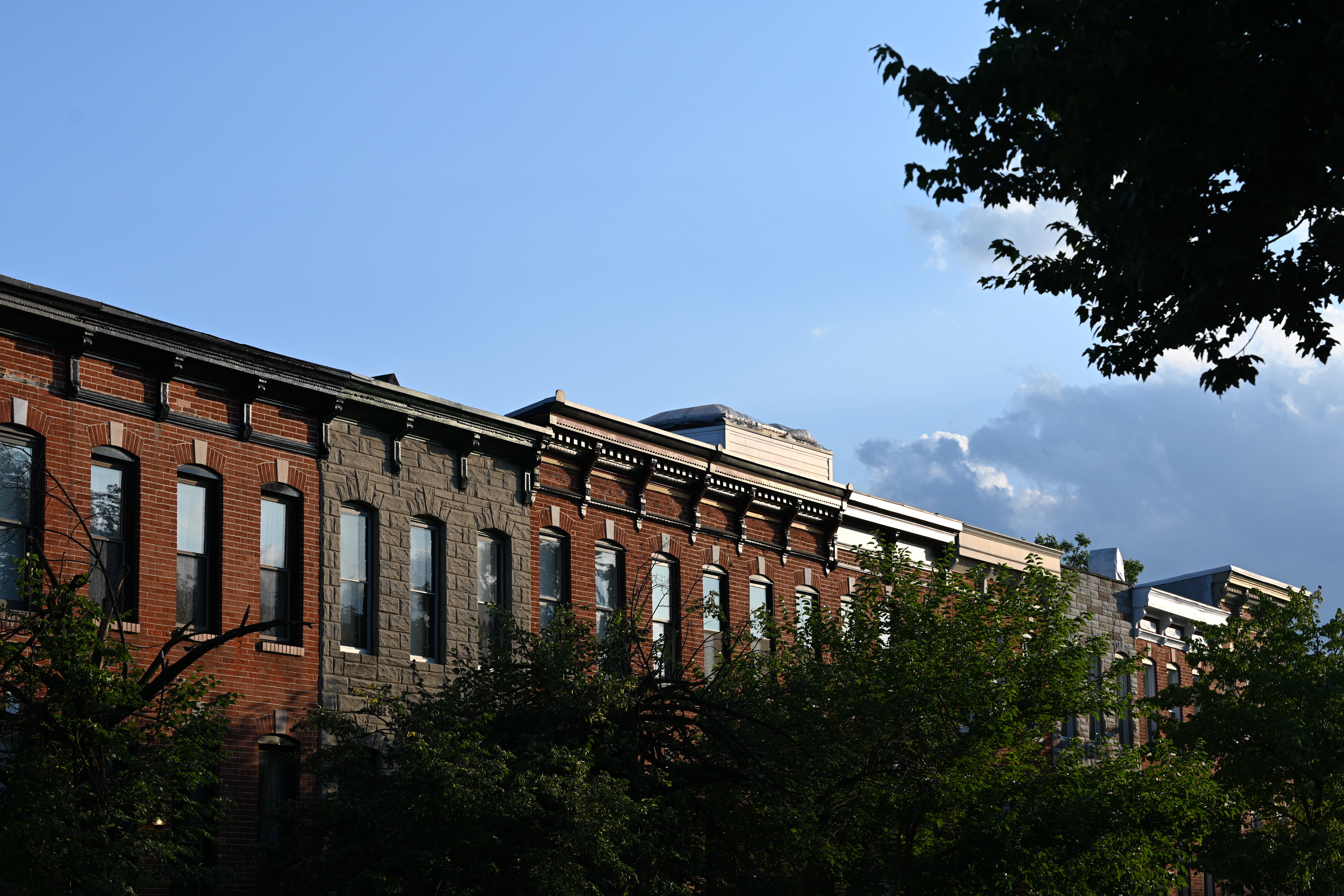 Baltimore Development Corporation берет управление 88-акровым проектом обновления восточной части города
