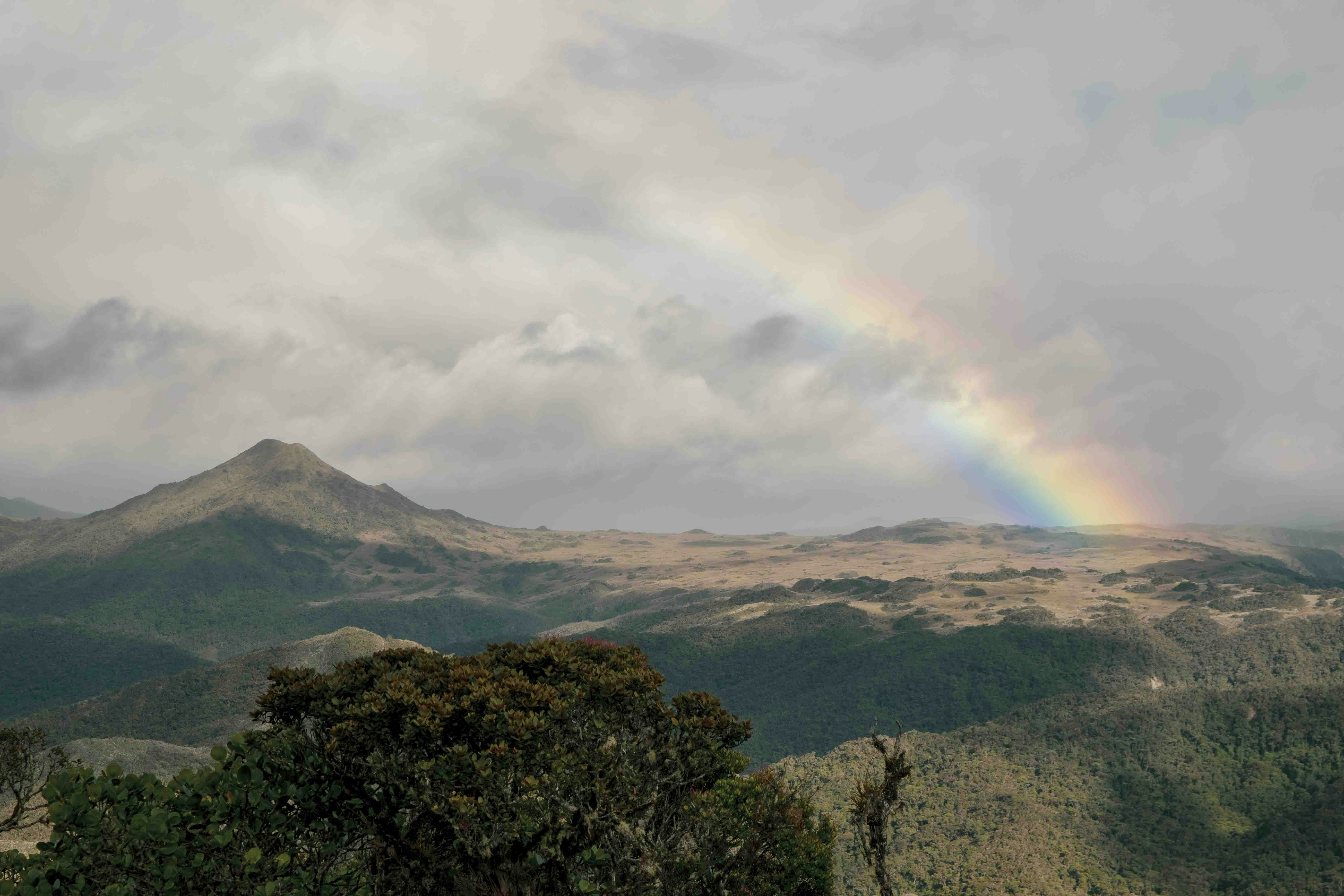 Went hiking to Tambo Blanco on June 21, the day of the Inti Raymi (Sun Dance), and was blessed with this wonderful sight.