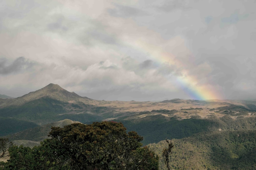 a rainbow over a valley