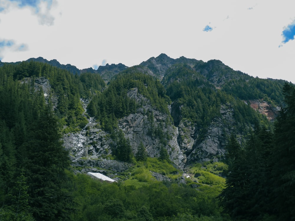 a mountain with trees on it