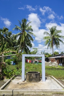 A rural setting featuring a large water well with a concrete base and structure in the foreground. Tall palm trees with lush green leaves stand in the background against a bright blue sky with scattered clouds. A clothesline stretches across the scene with colorful clothing hanging to dry. Nearby, there are small houses and various vegetation, including banana plants.