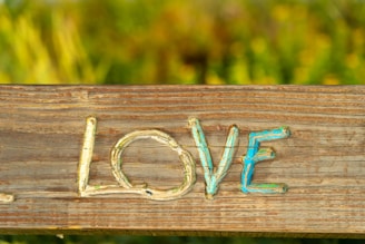 a close up of a bracelet