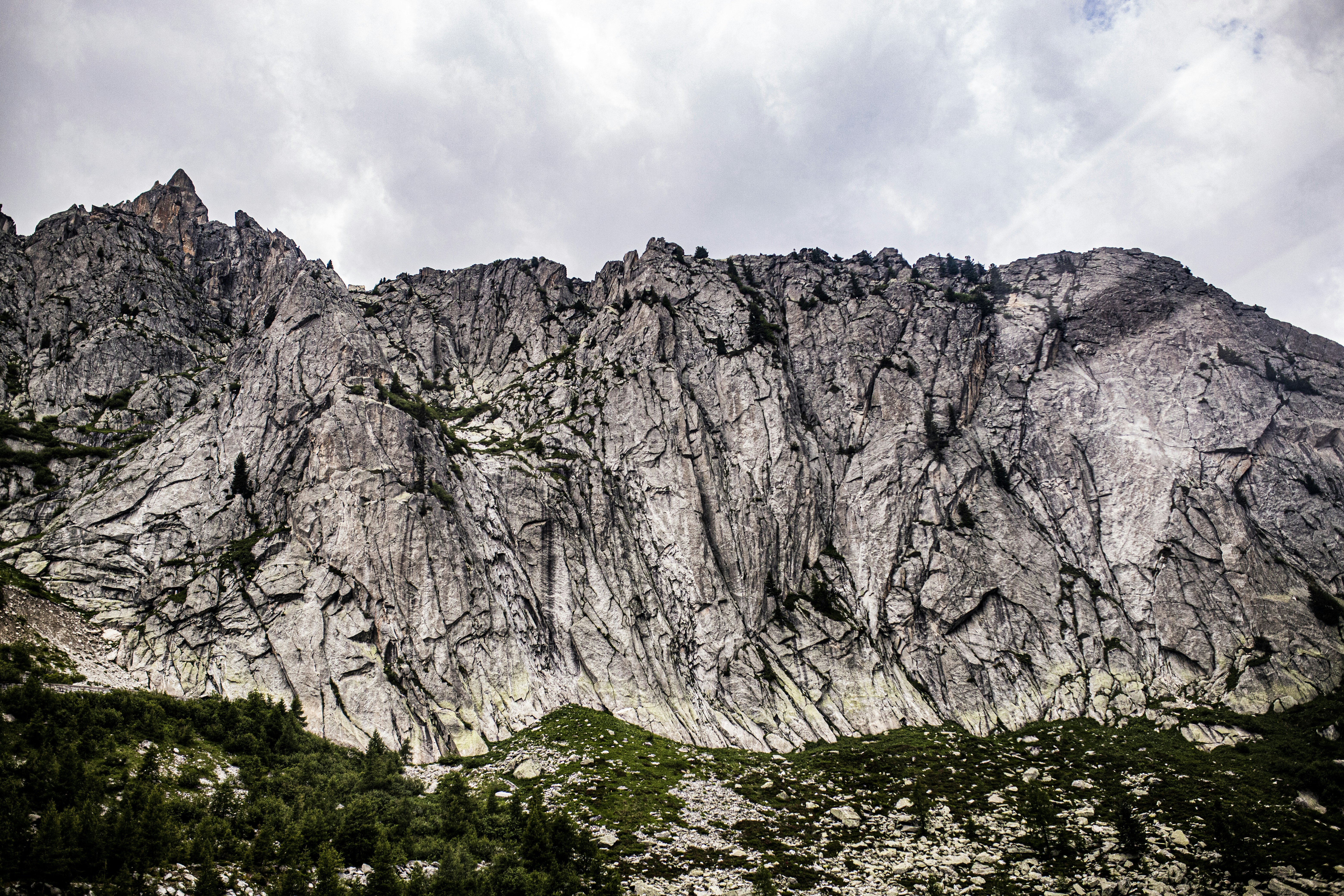Una montaña rocosa con árboles