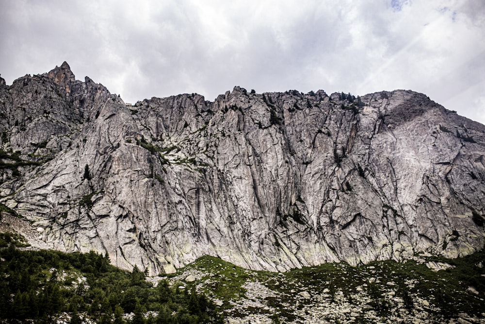 a rocky mountain with trees