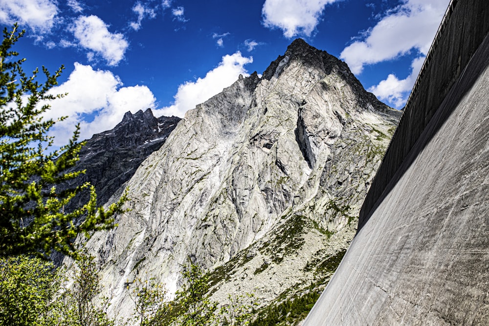 Une montagne rocheuse avec des arbres